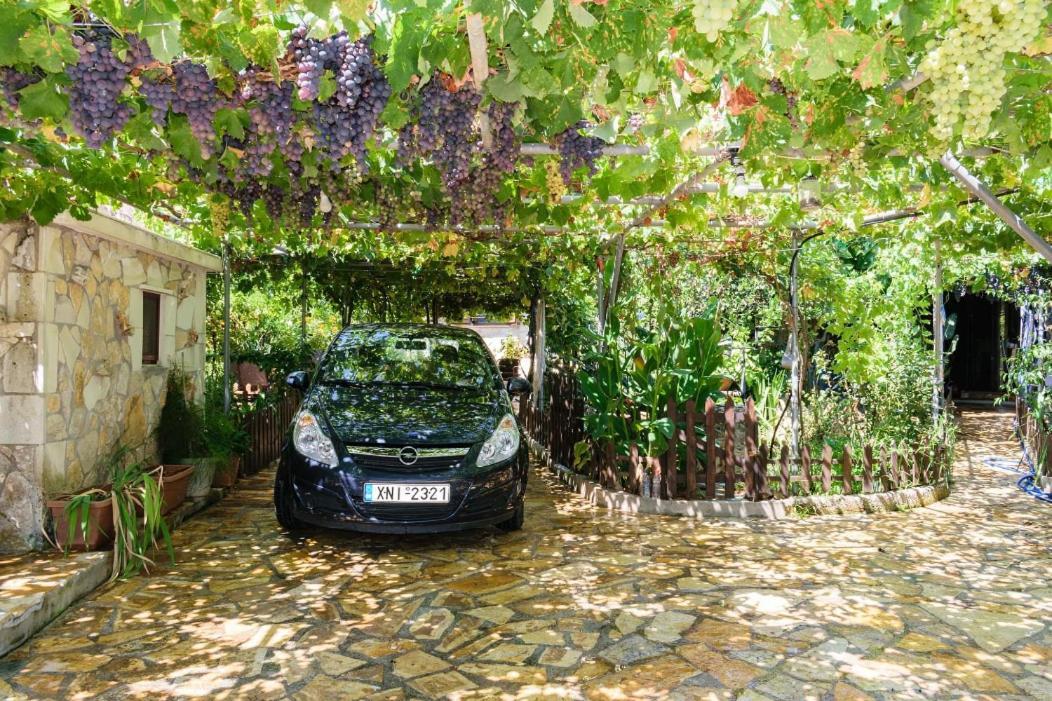 Dimitris'S Country House Agia  Exteriör bild