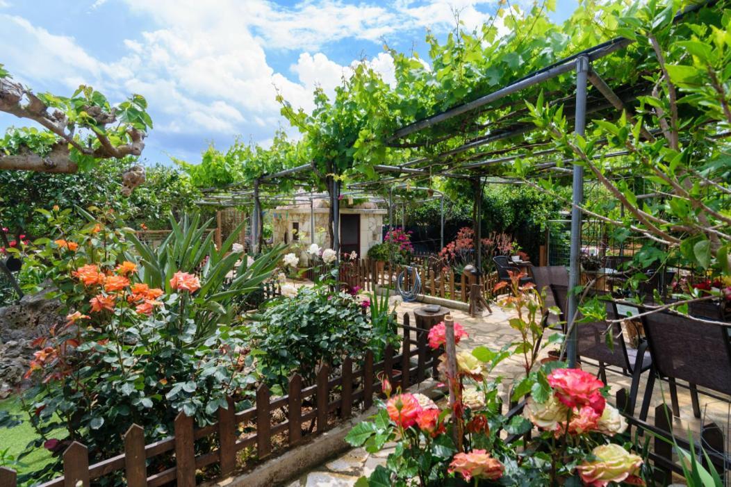 Dimitris'S Country House Agia  Exteriör bild