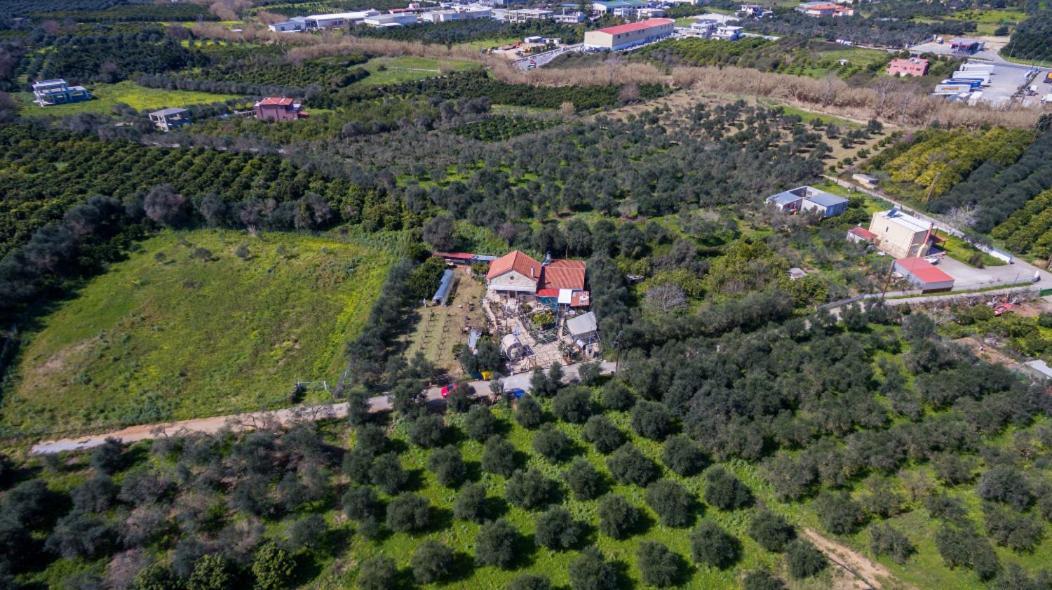 Dimitris'S Country House Agia  Exteriör bild